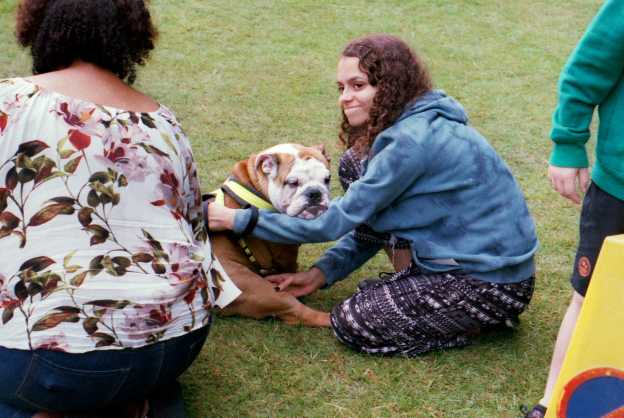 Mobirise Website Builder